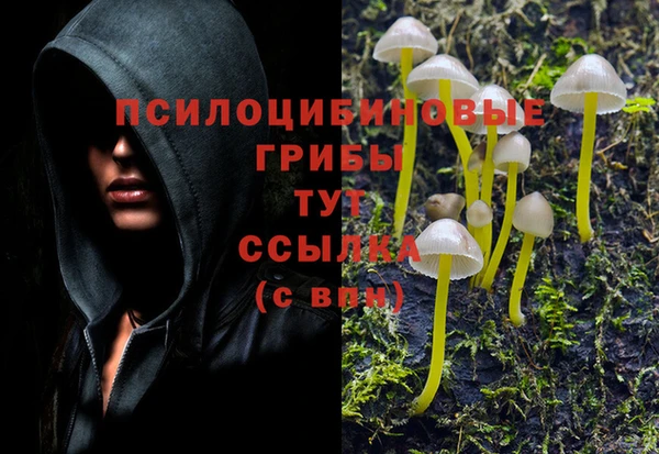 а пвп мука Бронницы