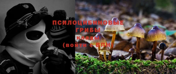 mix Бородино