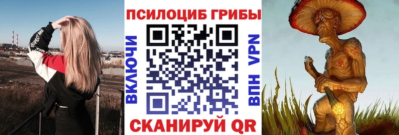 цена наркотик  Томск  Псилоцибиновые грибы Psilocybe 