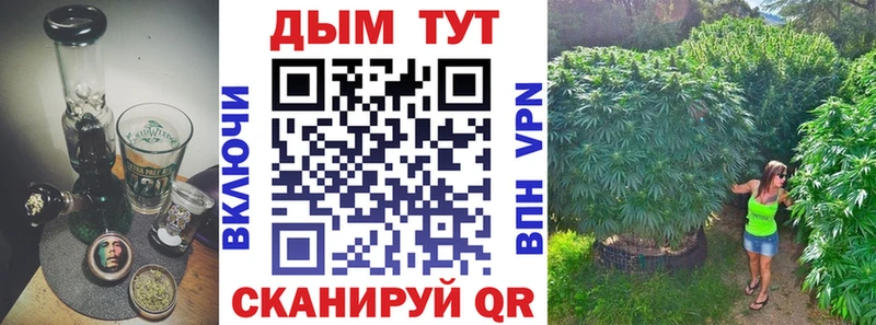 Каннабис сатива  наркота  Томск 